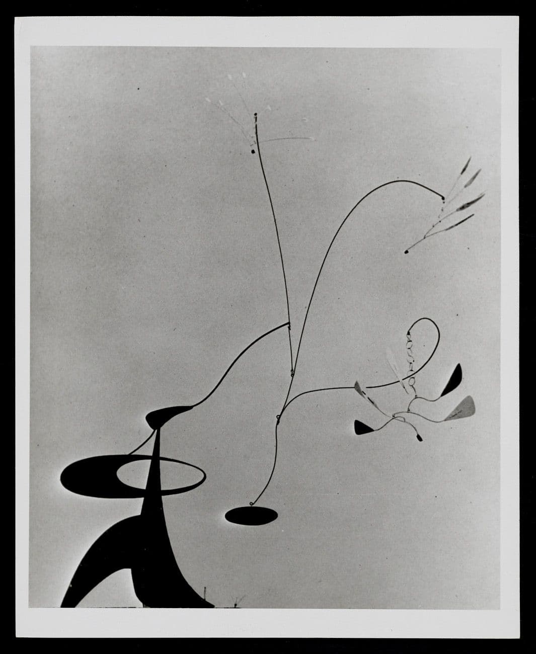 From Emily Hall Tremaine's artist files for Alexander Calder