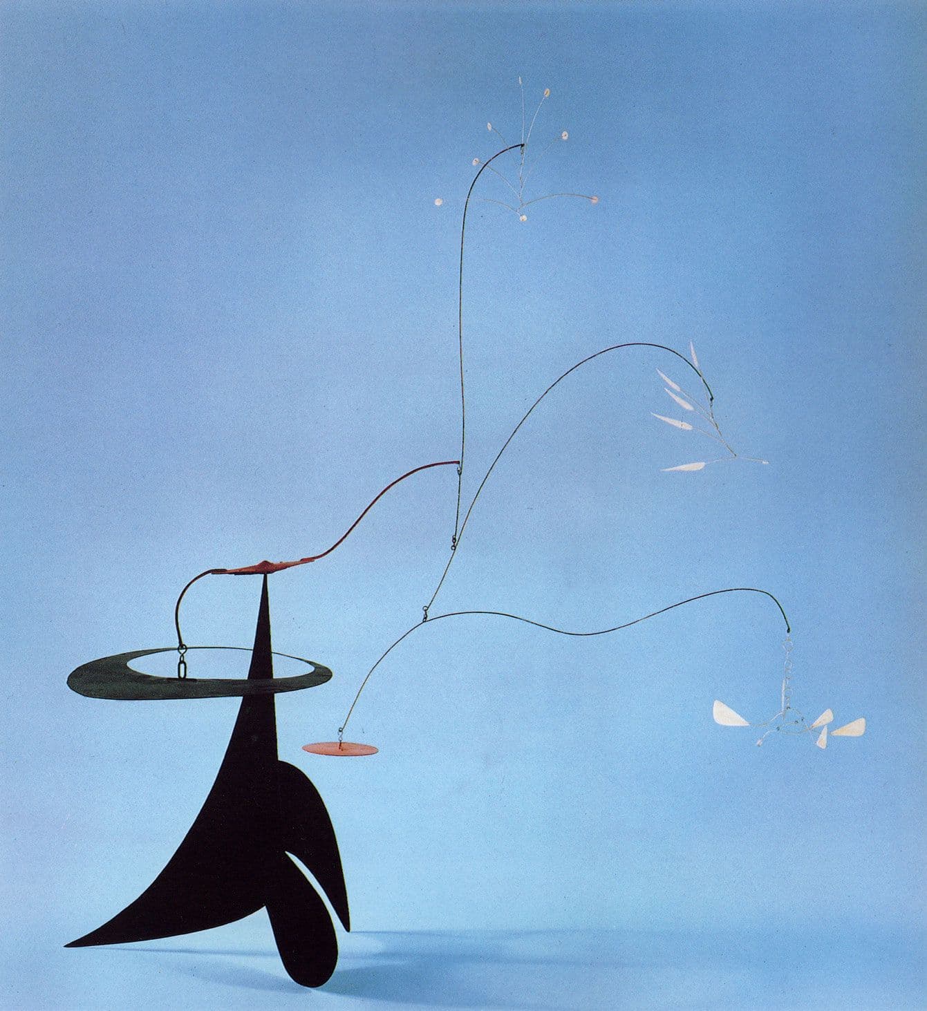 Bougainvillea, Alexander Calder